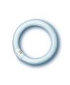 Spectralux® NL 3-Bandenlampen, 29mm Ø, in ring shape, base G10q