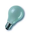 Standard Lamps inside frosted